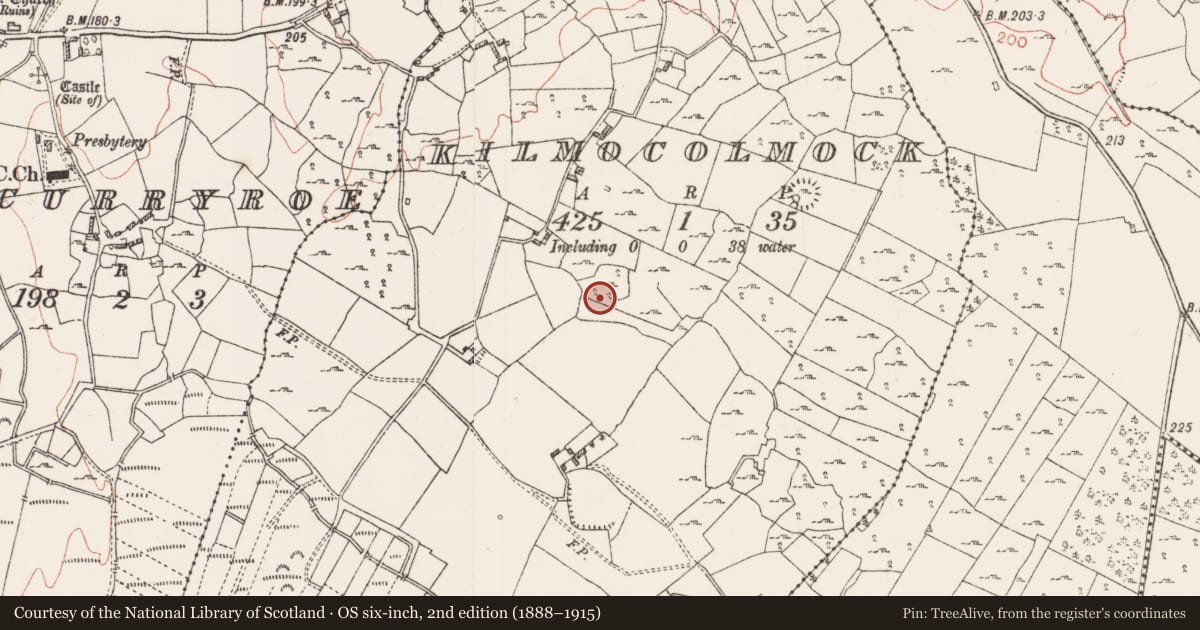 Ordnance Survey six-inch map, 2nd edition (1888–1915) covering the location of Ringfort - cashel, Kilmocolmock, County Roscommon, with a pin at the register's coordinates