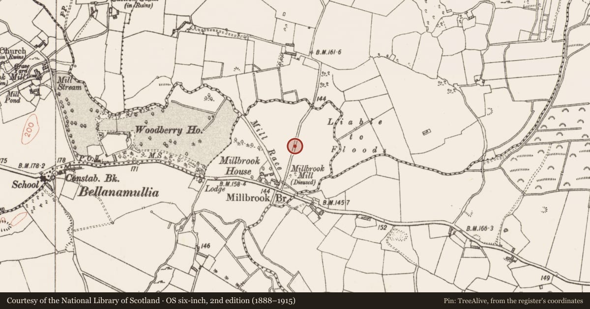 Ordnance Survey six-inch map, 2nd edition (1888–1915) covering the location of Burnt spread, Bellanamullia, County Roscommon, with a pin at the register's coordinates