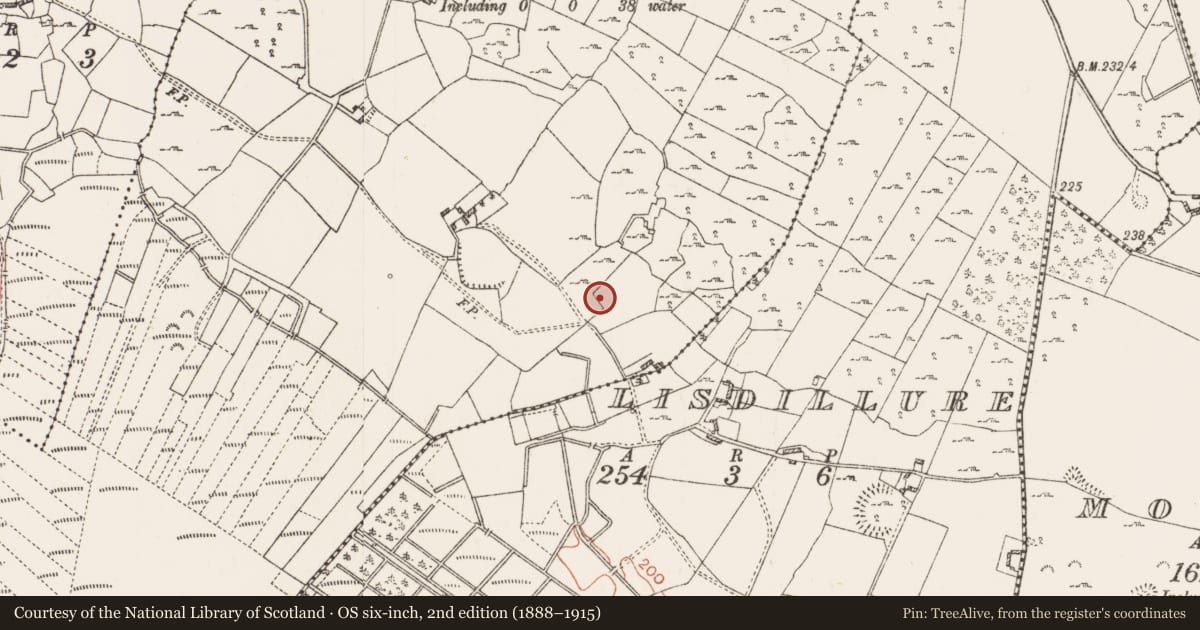 Ordnance Survey six-inch map, 2nd edition (1888–1915) covering the location of Children's burial ground, Kilmocolmock, County Roscommon, with a pin at the register's coordinates
