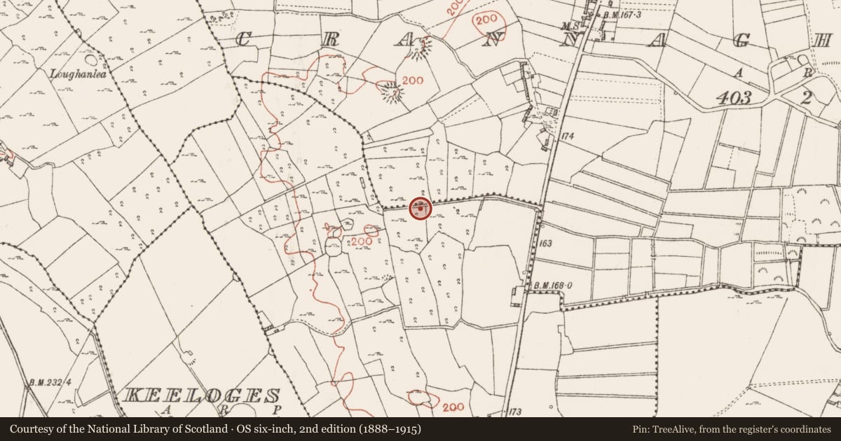 Ordnance Survey six-inch map, 2nd edition (1888–1915) covering the location of Burnt mound, Keelty, County Roscommon, with a pin at the register's coordinates
