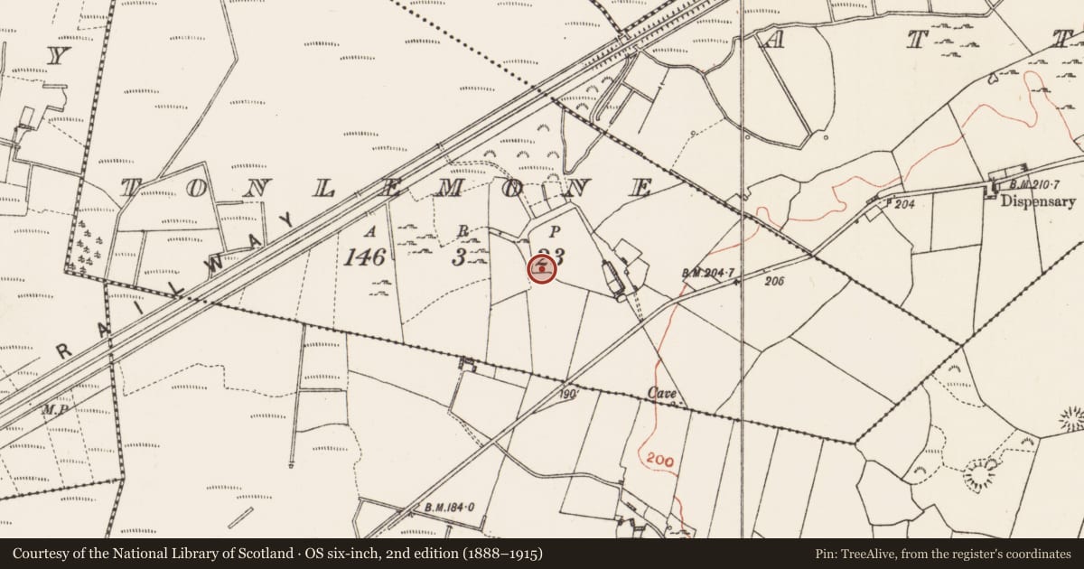 Ordnance Survey six-inch map, 2nd edition (1888–1915) covering the location of House - 18th/19th century, Tonlemone, County Roscommon, with a pin at the register's coordinates