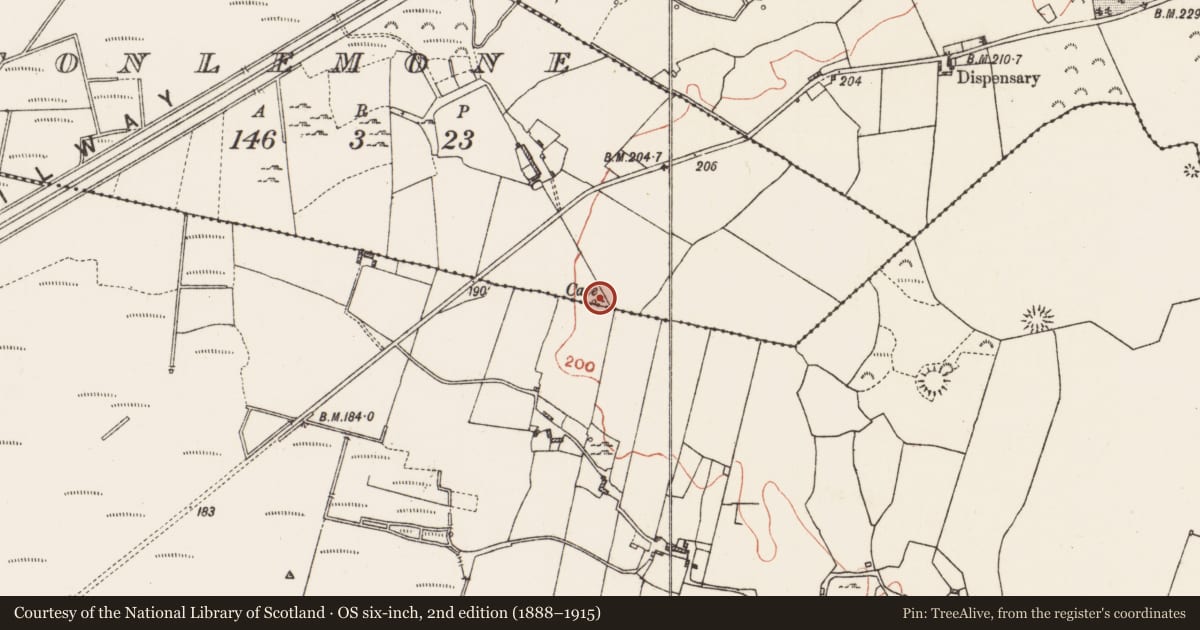 Ordnance Survey six-inch map, 2nd edition (1888–1915) covering the location of Souterrain, Tonlemone, County Roscommon, with a pin at the register's coordinates