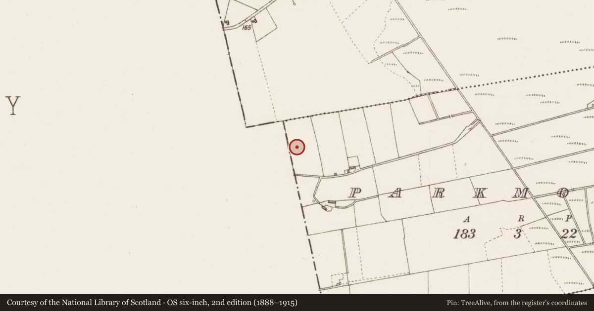 Ordnance Survey six-inch map, 2nd edition (1888–1915) covering the location of Ringfort - rath, Parkmore, County Roscommon, with a pin at the register's coordinates