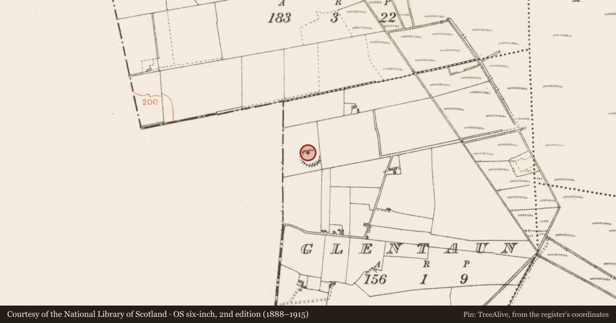 Ordnance Survey six-inch map, 2nd edition (1888–1915) covering the location of Ringfort - rath, Glentaun, County Roscommon, with a pin at the register's coordinates