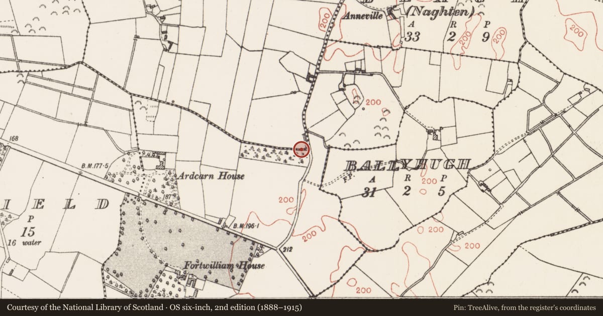 Ordnance Survey six-inch map, 2nd edition (1888–1915) covering the location of Burnt mound, Ardcarn, County Roscommon, with a pin at the register's coordinates