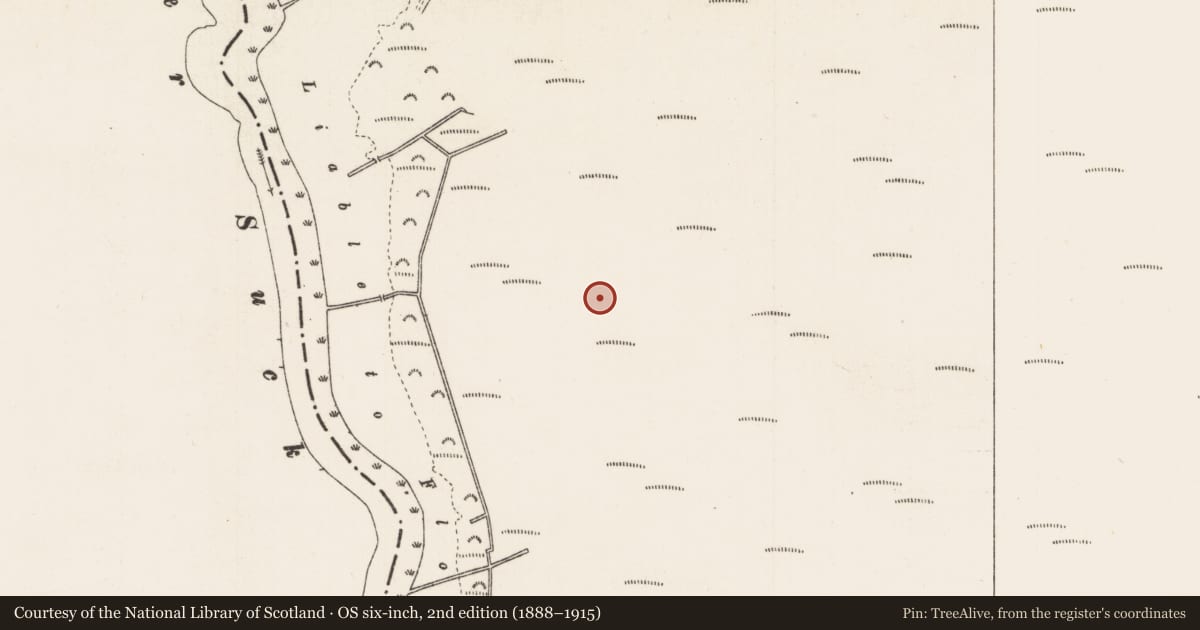 Ordnance Survey six-inch map, 2nd edition (1888–1915) covering the location of Road - unclassified togher, Culliaghmore, County Roscommon, with a pin at the register's coordinates