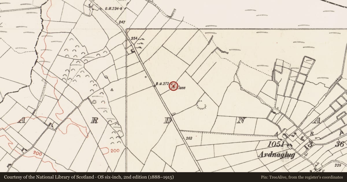 Ordnance Survey six-inch map, 2nd edition (1888–1915) covering the location of Souterrain, Ardnaglug, County Roscommon, with a pin at the register's coordinates