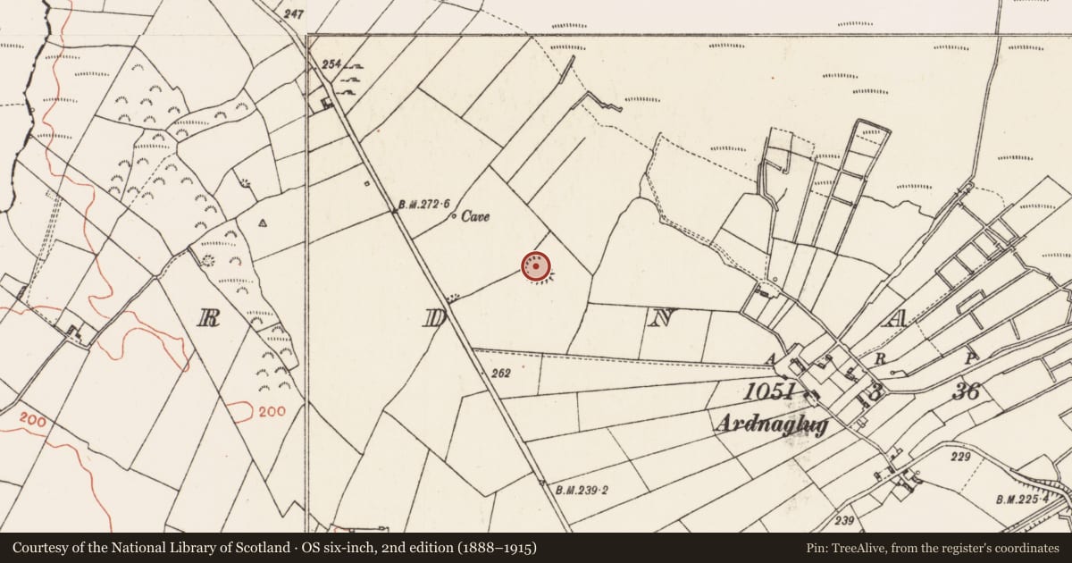 Ordnance Survey six-inch map, 2nd edition (1888–1915) covering the location of Ringfort - rath, Ardnaglug, County Roscommon, with a pin at the register's coordinates