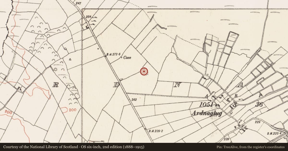 Ordnance Survey six-inch map, 2nd edition (1888–1915) covering the location of Children's burial ground, Ardnaglug, County Roscommon, with a pin at the register's coordinates