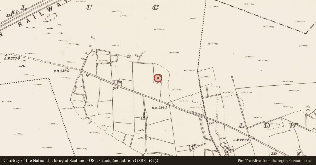 Ordnance Survey six-inch map, 2nd edition (1888–1915) covering the location of Ringfort - rath, Ardnaglug, County Roscommon, with a pin at the register's coordinates