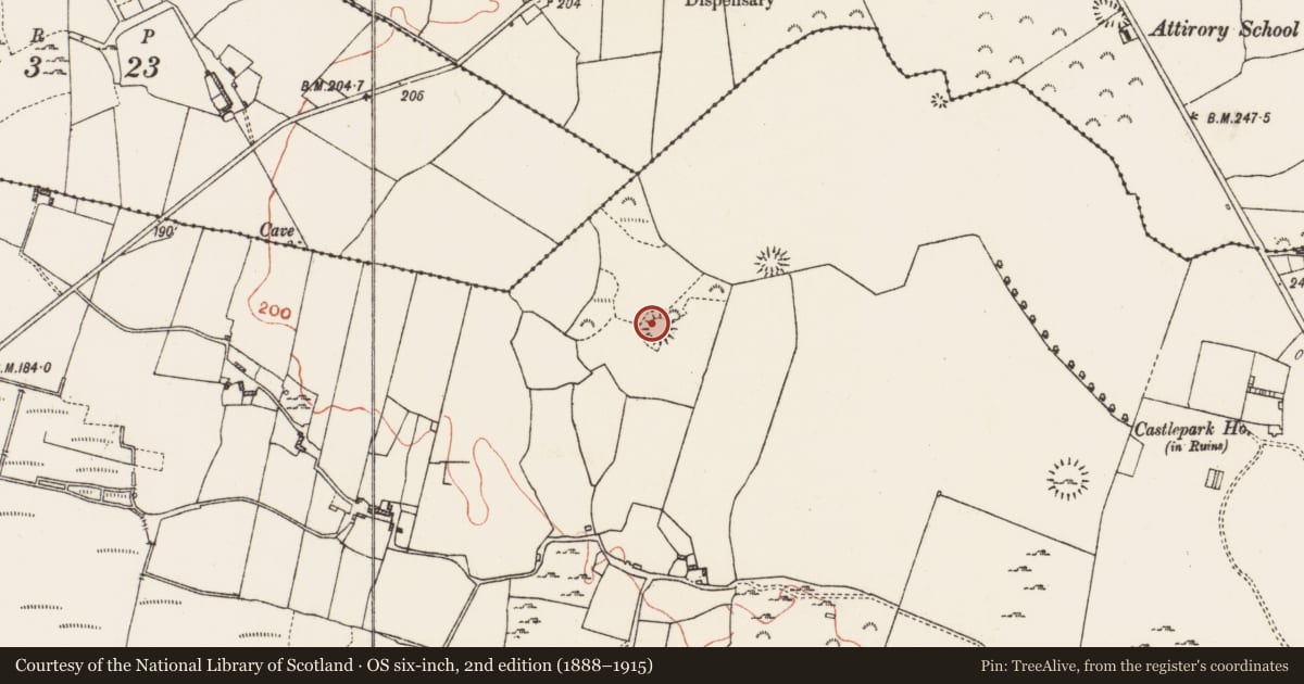 Ordnance Survey six-inch map, 2nd edition (1888–1915) covering the location of Ringfort - rath, Cuilleen, County Roscommon, with a pin at the register's coordinates
