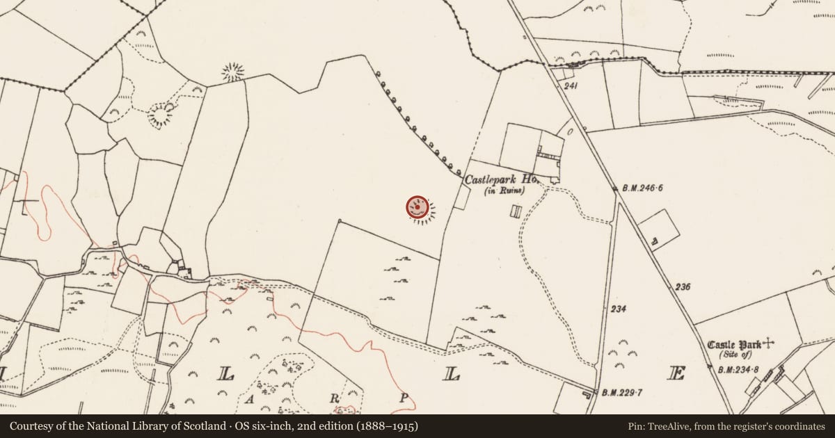 Ordnance Survey six-inch map, 2nd edition (1888–1915) covering the location of Children's burial ground, Cuilleen, County Roscommon, with a pin at the register's coordinates