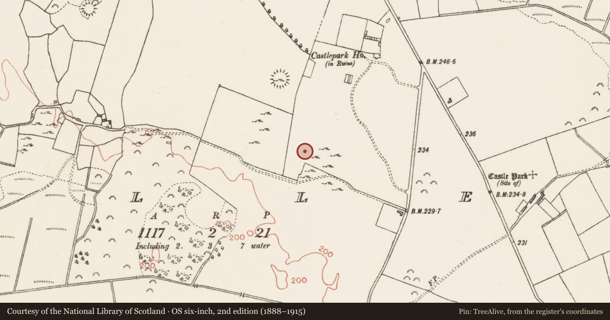 Ordnance Survey six-inch map, 2nd edition (1888–1915) covering the location of Religious house - Augustinian, of Arrouaise nuns, Cuilleen, County Roscommon, with a pin at the register's coordinates