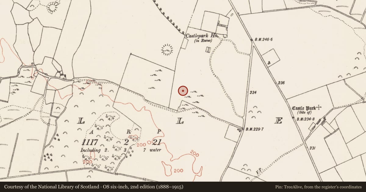 Ordnance Survey six-inch map, 2nd edition (1888–1915) covering the location of Building, Cuilleen, County Roscommon, with a pin at the register's coordinates