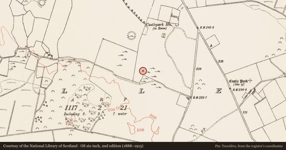 Ordnance Survey six-inch map, 2nd edition (1888–1915) covering the location of Enclosure, Cuilleen, County Roscommon, with a pin at the register's coordinates