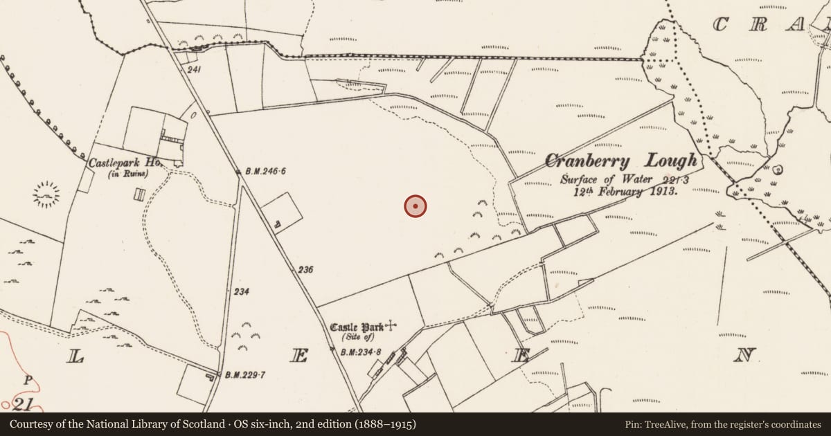 Ordnance Survey six-inch map, 2nd edition (1888–1915) covering the location of Ringfort - rath, Cuilleen, County Roscommon, with a pin at the register's coordinates