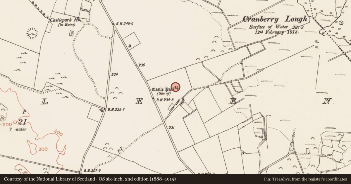 Ordnance Survey six-inch map, 2nd edition (1888–1915) covering the location of Castle - unclassified, Cuilleen, County Roscommon, with a pin at the register's coordinates