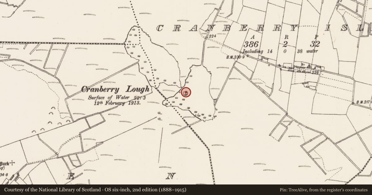 Ordnance Survey six-inch map, 2nd edition (1888–1915) covering the location of Crannog, Cranberry Island, County Roscommon, with a pin at the register's coordinates