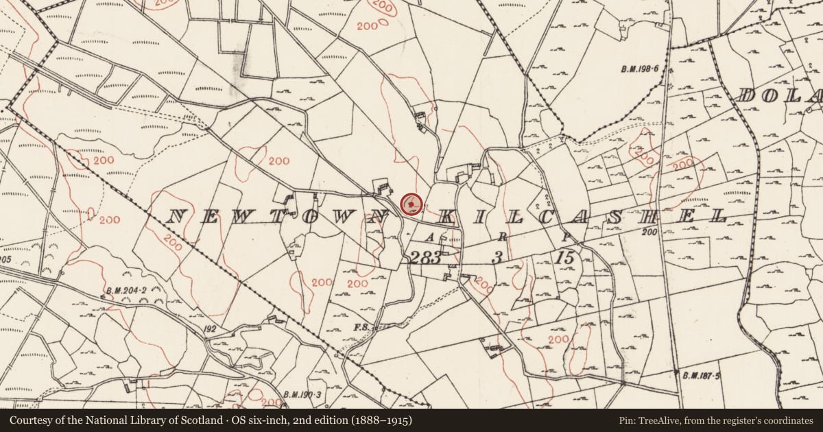 Ordnance Survey six-inch map, 2nd edition (1888–1915) covering the location of Ringfort - cashel, Newtown Kilcashel, County Roscommon, with a pin at the register's coordinates