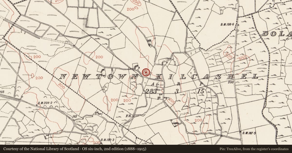 Ordnance Survey six-inch map, 2nd edition (1888–1915) covering the location of Children's burial ground, Newtown Kilcashel, County Roscommon, with a pin at the register's coordinates