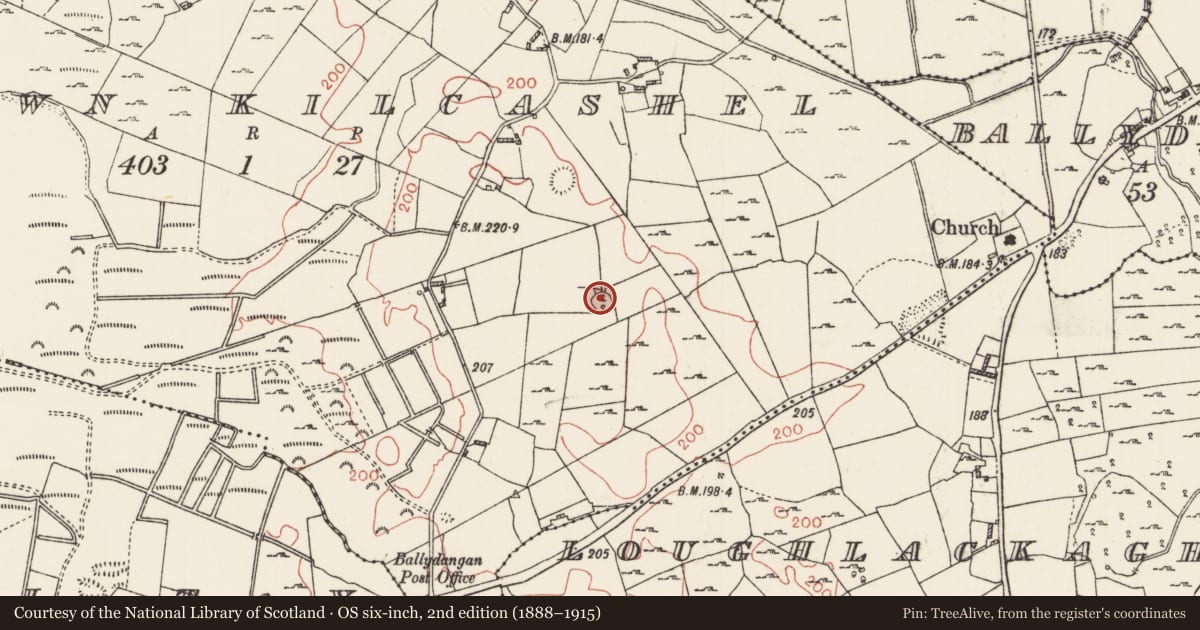 Ordnance Survey six-inch map, 2nd edition (1888–1915) covering the location of Ringfort - cashel, Oldtown Kilcashel, County Roscommon, with a pin at the register's coordinates