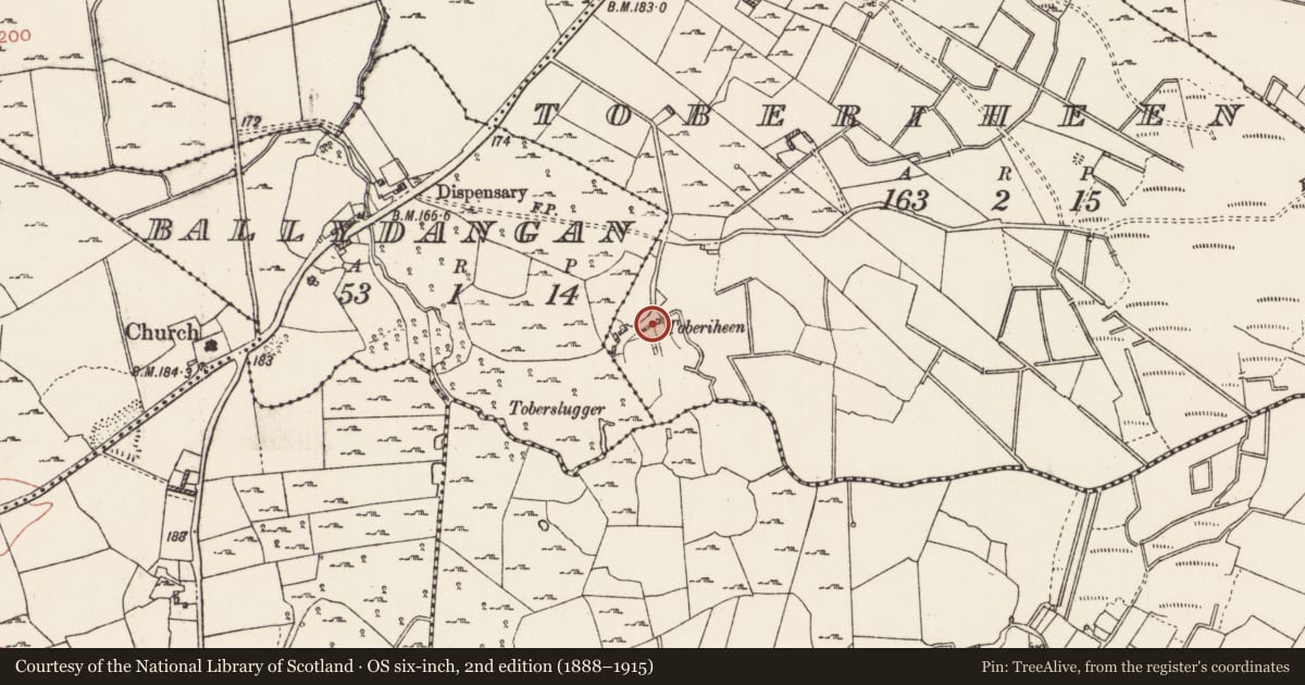 Ordnance Survey six-inch map, 2nd edition (1888–1915) covering the location of Bullaun stone, Toberiheen, County Roscommon, with a pin at the register's coordinates