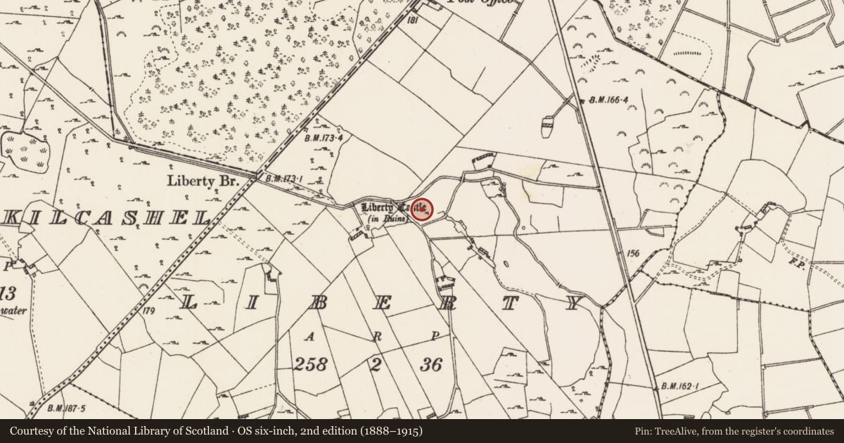 Ordnance Survey six-inch map, 2nd edition (1888–1915) covering the location of Castle - unclassified, Liberty, County Roscommon, with a pin at the register's coordinates