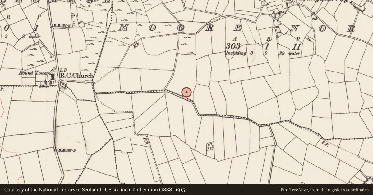 Ordnance Survey six-inch map, 2nd edition (1888–1915) covering the location of Cairn - clearance cairn, Moore North, County Roscommon, with a pin at the register's coordinates