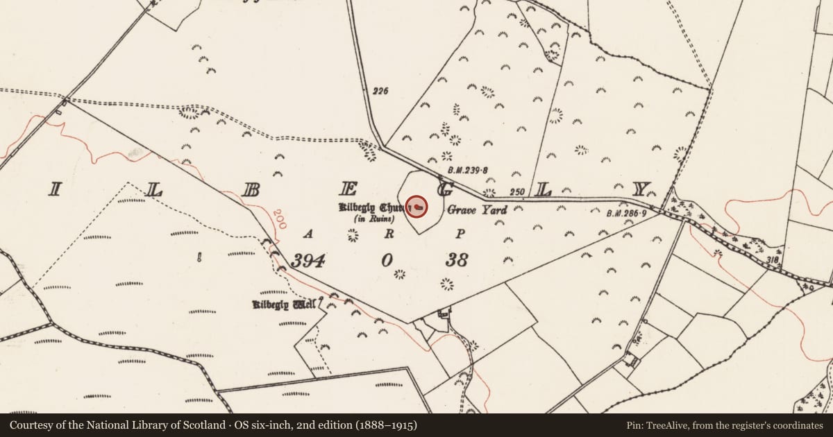 Ordnance Survey six-inch map, 2nd edition (1888–1915) covering the location of Church, Kilbegly, County Roscommon, with a pin at the register's coordinates