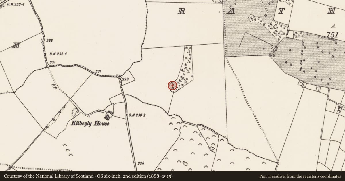 Ordnance Survey six-inch map, 2nd edition (1888–1915) covering the location of Ringfort - rath, Rathpeak, County Roscommon, with a pin at the register's coordinates