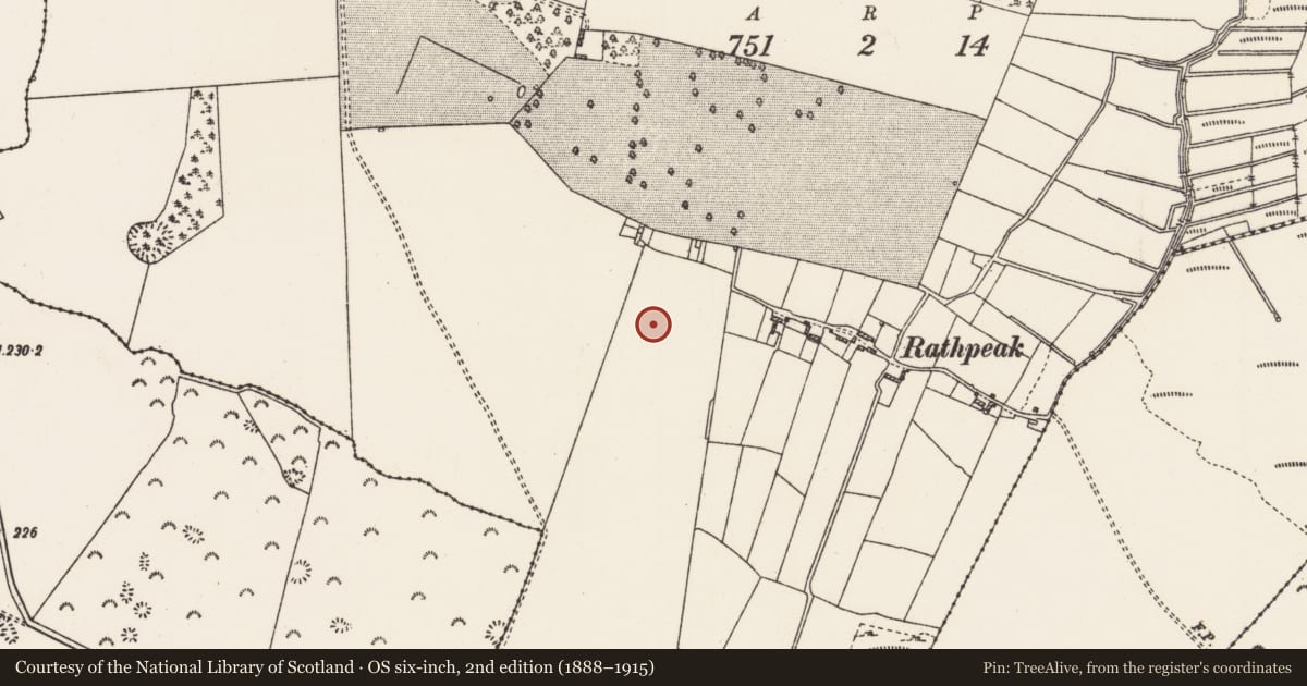 Ordnance Survey six-inch map, 2nd edition (1888–1915) covering the location of Ringfort - rath, Rathpeak, County Roscommon, with a pin at the register's coordinates