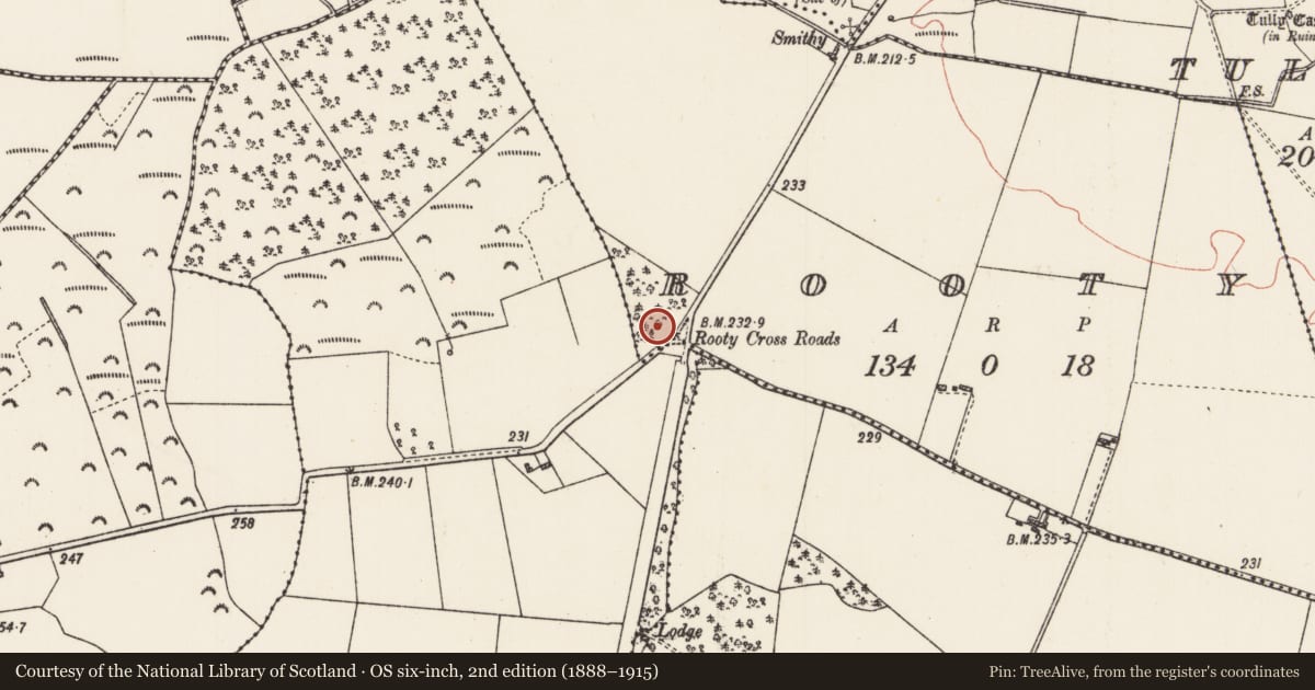 Ordnance Survey six-inch map, 2nd edition (1888–1915) covering the location of Ringfort - rath, Rooty, County Roscommon, with a pin at the register's coordinates