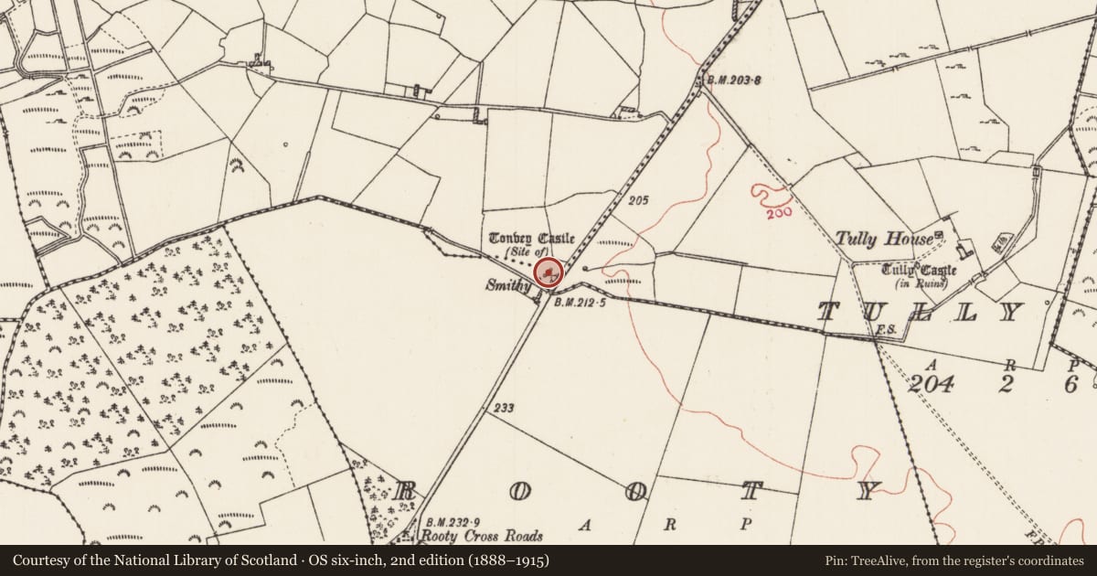 Ordnance Survey six-inch map, 2nd edition (1888–1915) covering the location of Castle - unclassified, Tonvey, County Roscommon, with a pin at the register's coordinates
