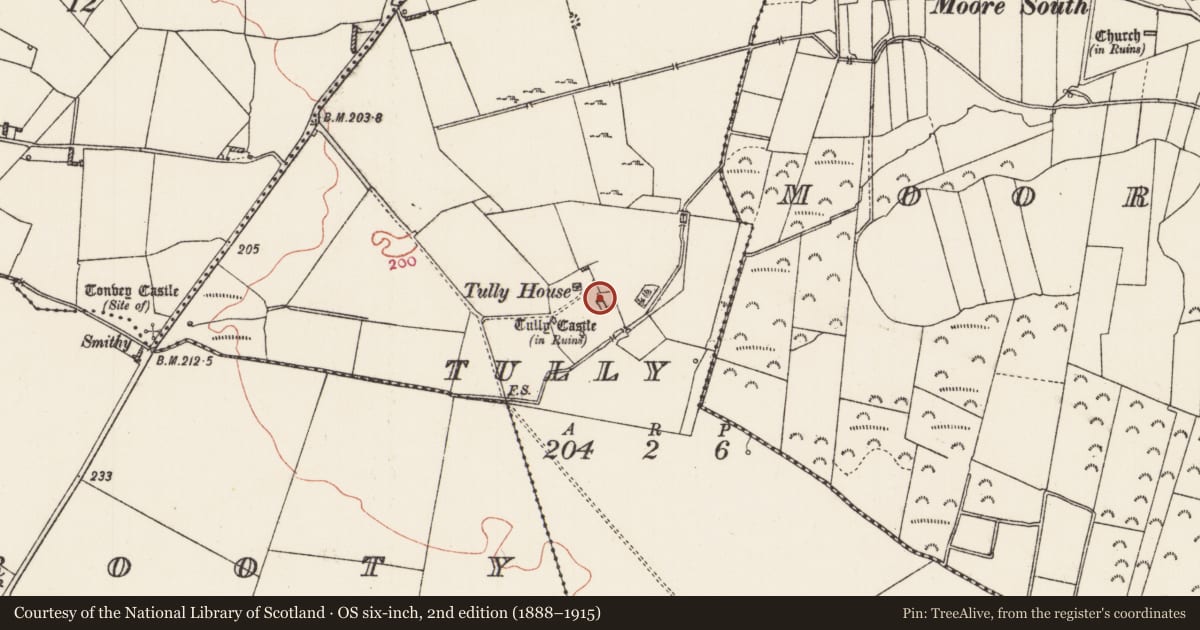 Ordnance Survey six-inch map, 2nd edition (1888–1915) covering the location of House - 16th/17th century, Tully, County Roscommon, with a pin at the register's coordinates