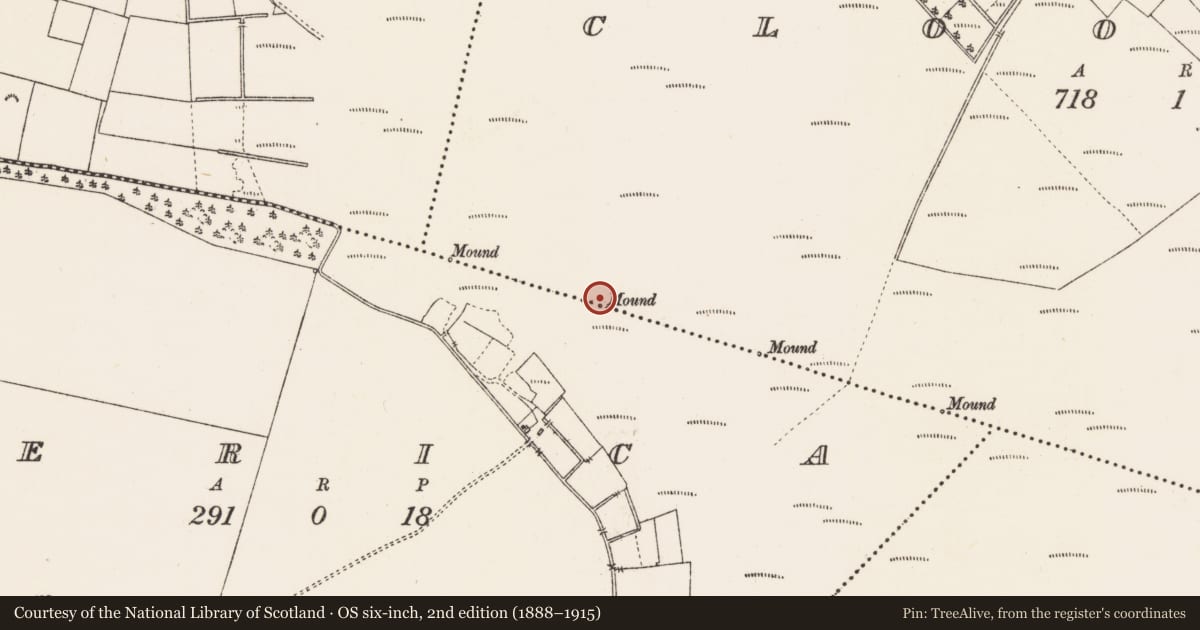 Ordnance Survey six-inch map, 2nd edition (1888–1915) covering the location of Boundary mound, America, Clooniff, County Roscommon, with a pin at the register's coordinates