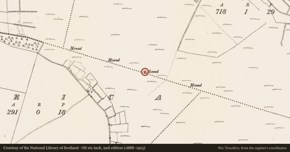 Ordnance Survey six-inch map, 2nd edition (1888–1915) covering the location of Boundary mound, America, Clooniff, County Roscommon, with a pin at the register's coordinates