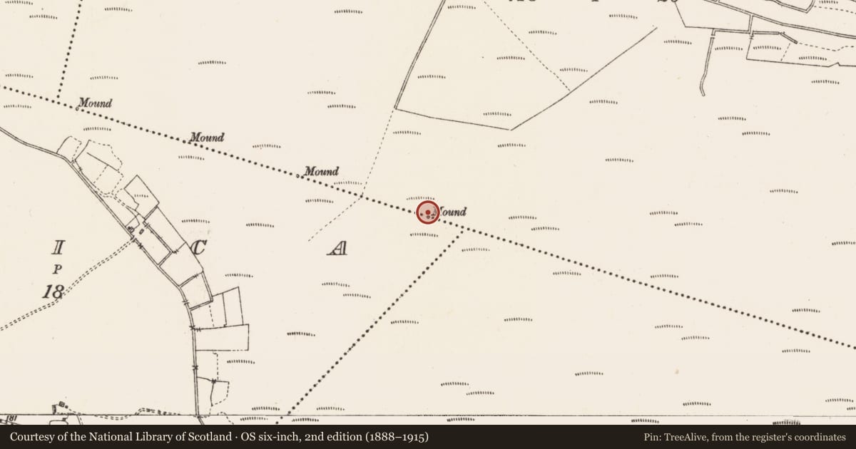 Ordnance Survey six-inch map, 2nd edition (1888–1915) covering the location of Boundary mound, America, Clooniff, County Roscommon, with a pin at the register's coordinates