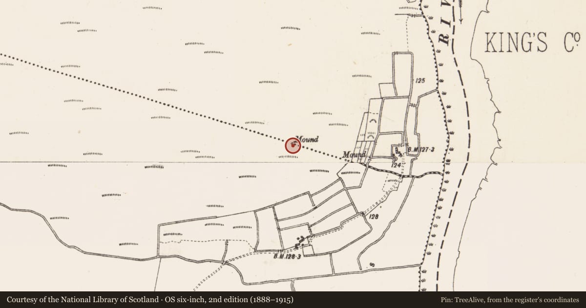 Ordnance Survey six-inch map, 2nd edition (1888–1915) covering the location of Boundary mound, Clooniff, Cloonburren, County Roscommon, with a pin at the register's coordinates