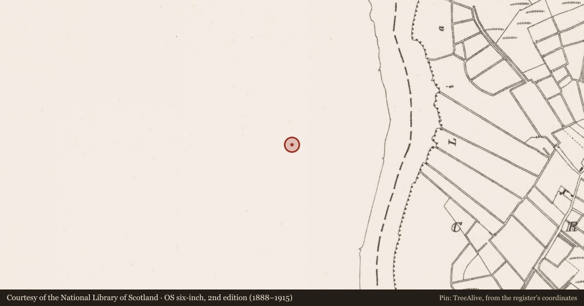 Ordnance Survey six-inch map, 2nd edition (1888–1915) covering the location of Boundary mound, Cloonburren, Clooniff, County Roscommon, with a pin at the register's coordinates