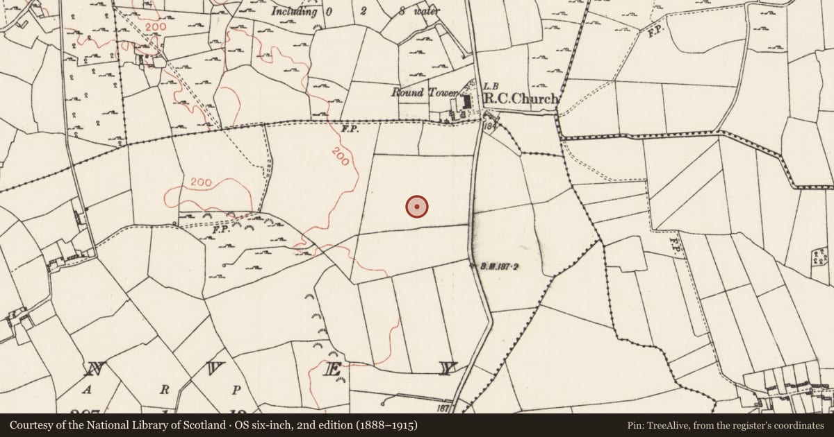 Ordnance Survey six-inch map, 2nd edition (1888–1915) covering the location of Souterrain, Tonvey, County Roscommon, with a pin at the register's coordinates