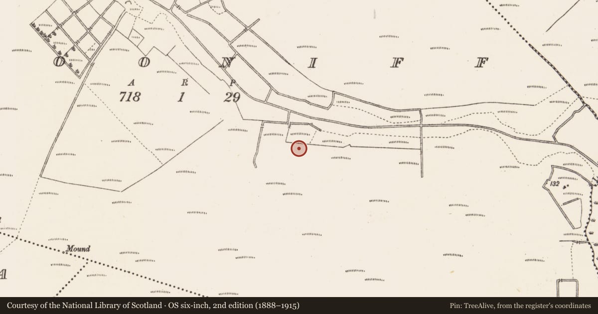 Ordnance Survey six-inch map, 2nd edition (1888–1915) covering the location of Road - unclassified togher, Clooniff, County Roscommon, with a pin at the register's coordinates