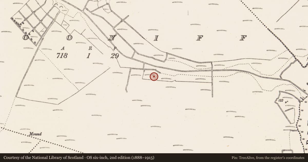 Ordnance Survey six-inch map, 2nd edition (1888–1915) covering the location of Road - unclassified togher, Clooniff, County Roscommon, with a pin at the register's coordinates