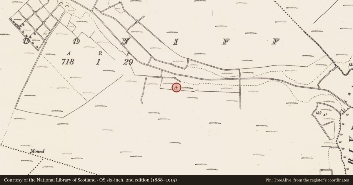 Ordnance Survey six-inch map, 2nd edition (1888–1915) covering the location of Road - unclassified togher, Clooniff, County Roscommon, with a pin at the register's coordinates