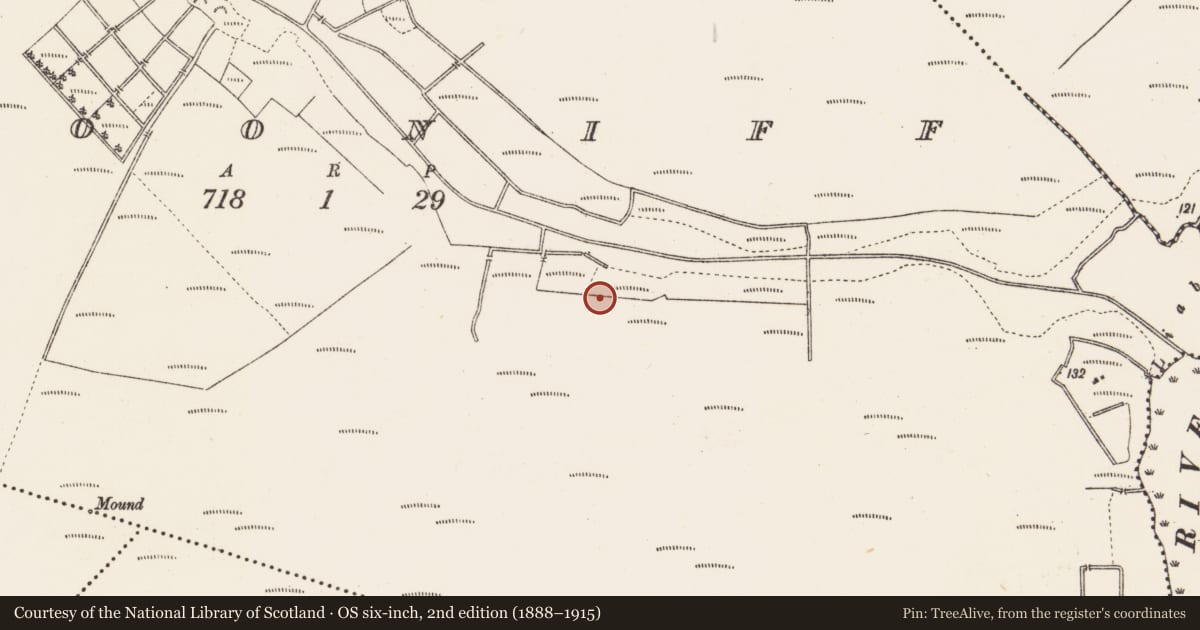 Ordnance Survey six-inch map, 2nd edition (1888–1915) covering the location of Road - unclassified togher, Clooniff, County Roscommon, with a pin at the register's coordinates