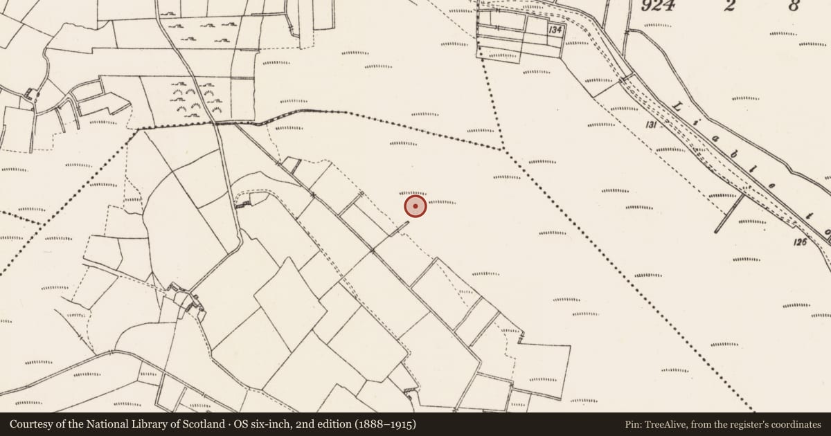 Ordnance Survey six-inch map, 2nd edition (1888–1915) covering the location of Structure - peatland, Clooniff, County Roscommon, with a pin at the register's coordinates