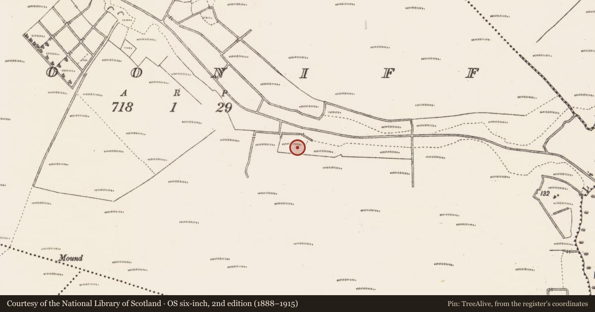 Ordnance Survey six-inch map, 2nd edition (1888–1915) covering the location of Structure - peatland, Clooniff, County Roscommon, with a pin at the register's coordinates