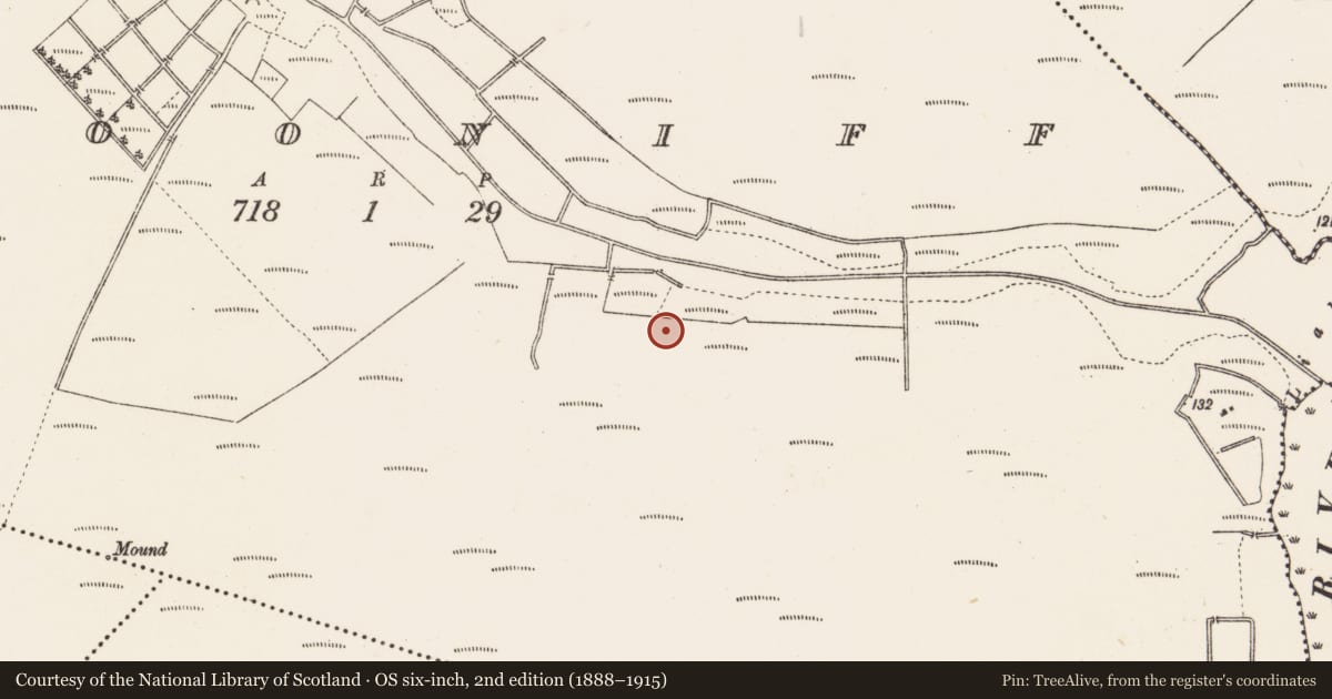 Ordnance Survey six-inch map, 2nd edition (1888–1915) covering the location of Structure - peatland, Clooniff, County Roscommon, with a pin at the register's coordinates