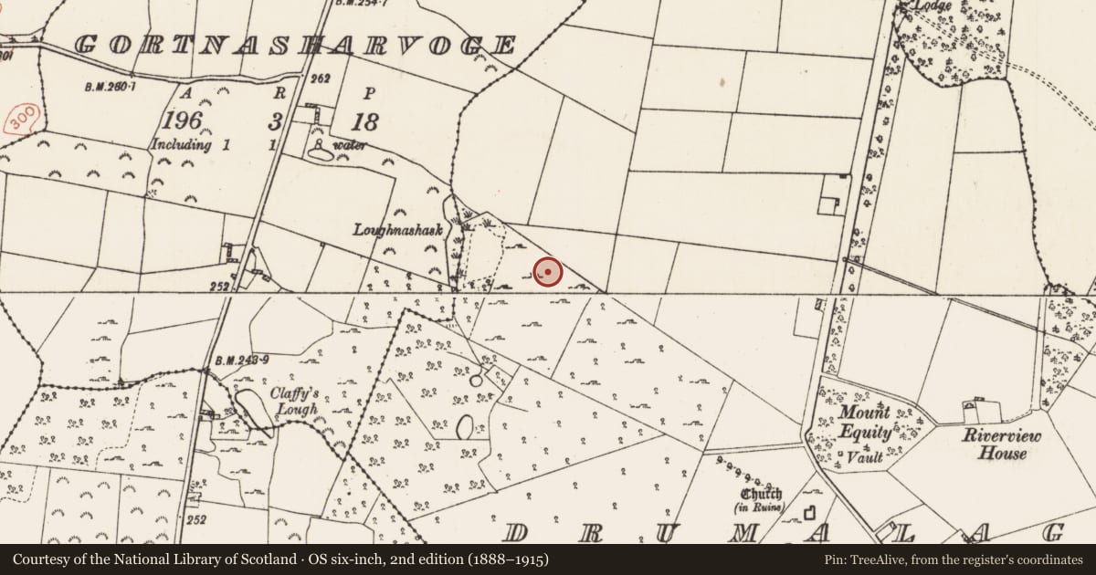 Ordnance Survey six-inch map, 2nd edition (1888–1915) covering the location of Ringfort - rath, Drumalagagh, County Roscommon, with a pin at the register's coordinates