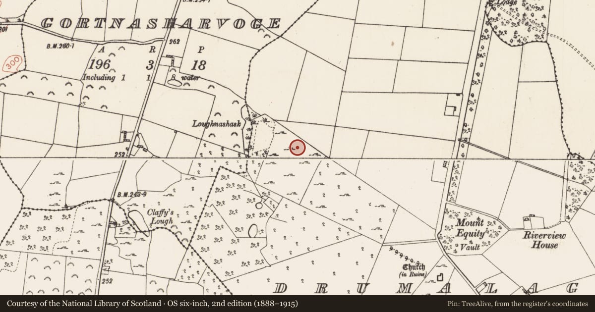 Ordnance Survey six-inch map, 2nd edition (1888–1915) covering the location of Cairn - clearance cairn, Drumalagagh, County Roscommon, with a pin at the register's coordinates