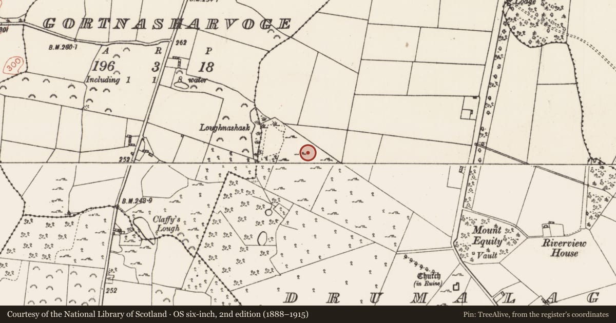 Ordnance Survey six-inch map, 2nd edition (1888–1915) covering the location of Cairn - clearance cairn, Drumalagagh, County Roscommon, with a pin at the register's coordinates